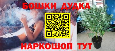 стаф Свободный
