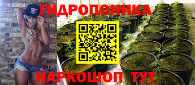 бошки Севастополь