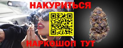 стаф Свободный
